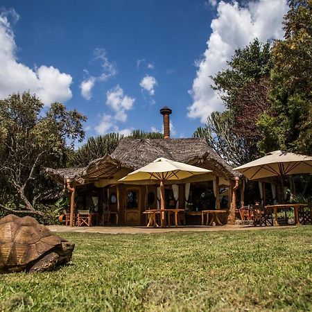 Chui Lodge Naivasha Exteriör bild