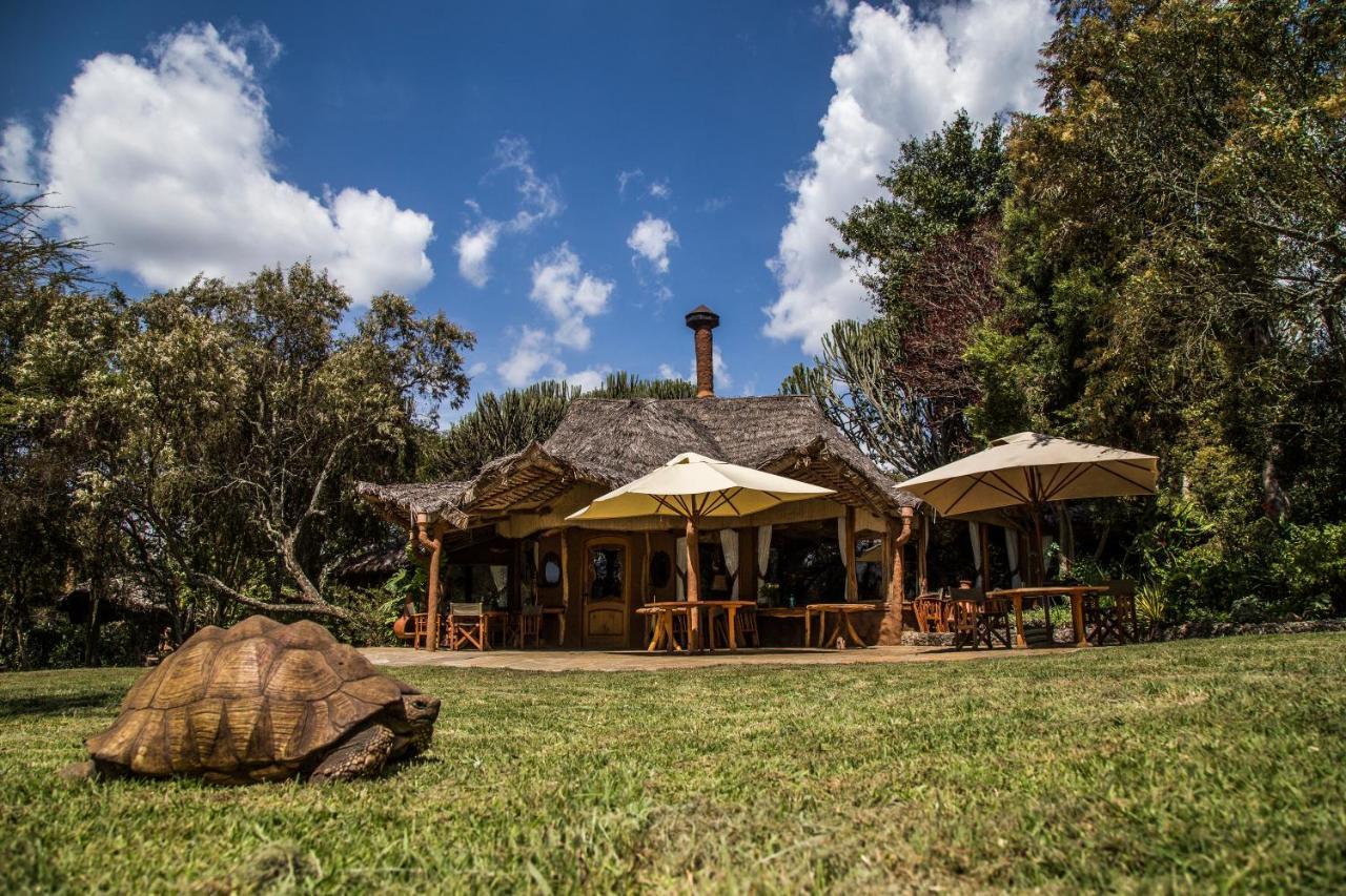 Chui Lodge Naivasha Exteriör bild